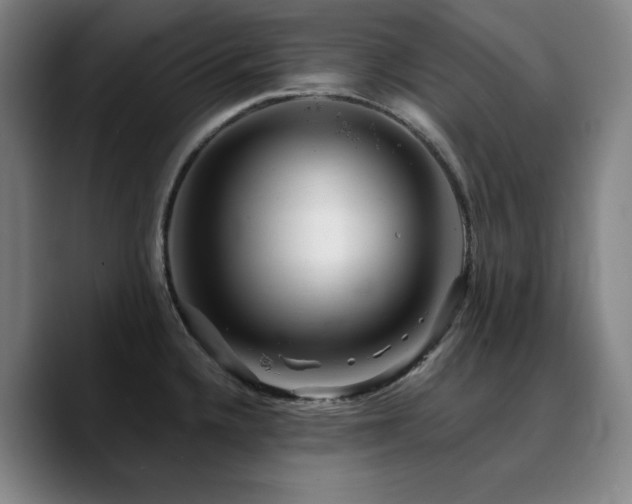 X0000090721336200707201340