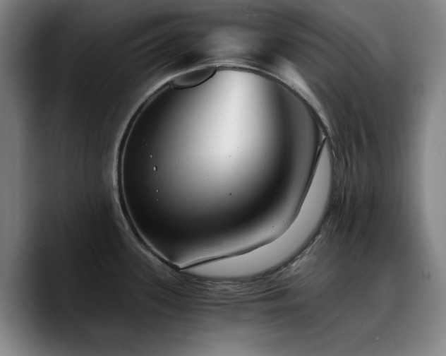X0000090721339200707201340