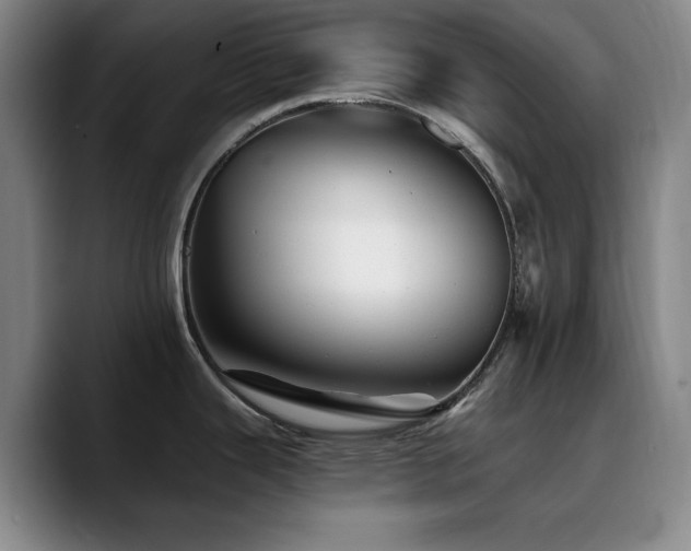 X0000090721343200707201340