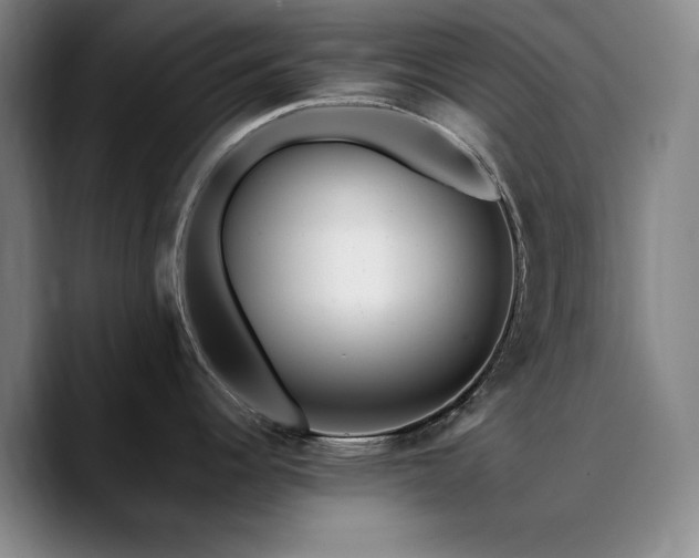X0000090721344200707201340