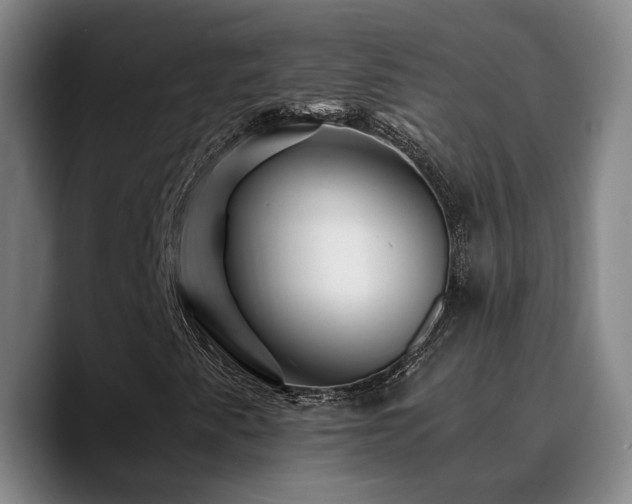 X0000090721345200707201339