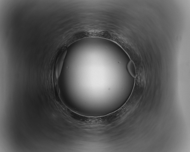X0000090721346200707201339