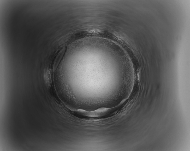 X0000090721347200707201339