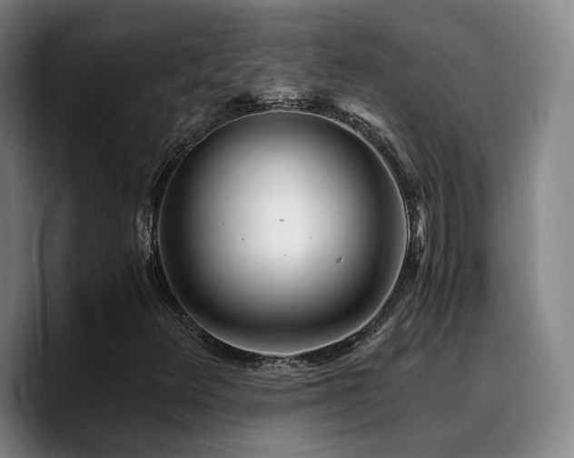 X0000090721348200707201339