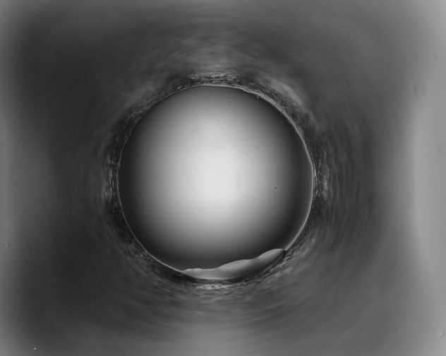 X0000090721350200707201339