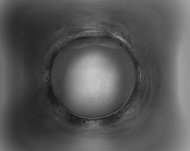 X0000090721351200707201339