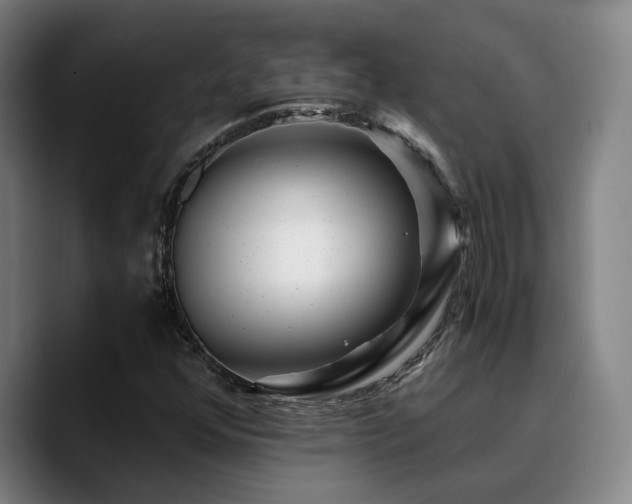X0000090721352200707201339