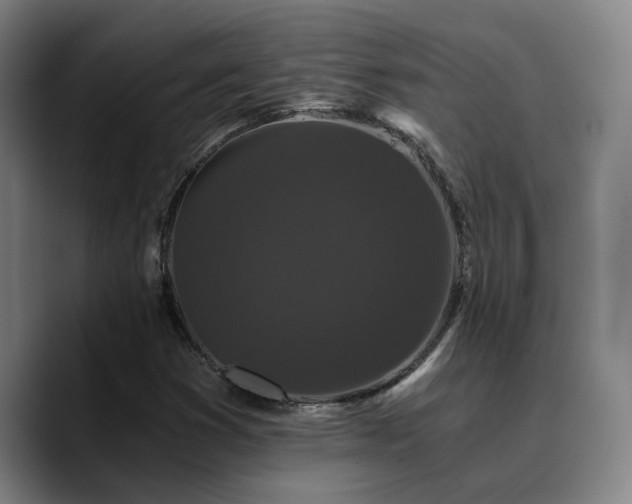 X0000090721353200707201339