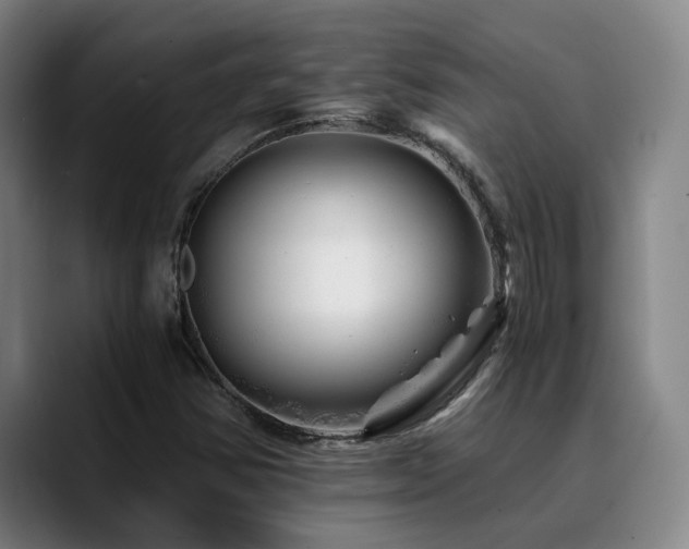 X0000090721354200707201339