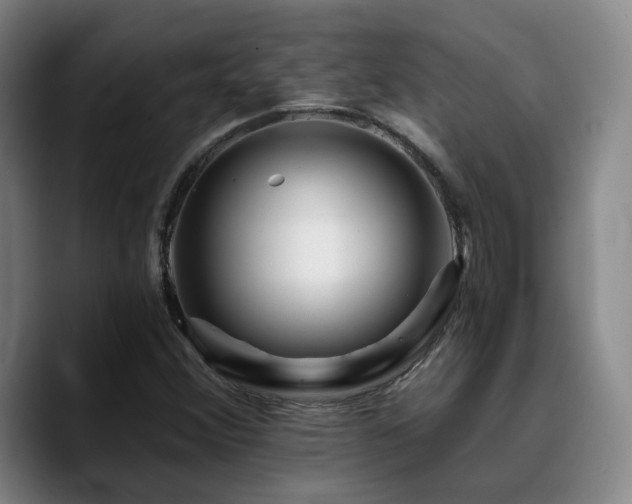 X0000090721356200707201339