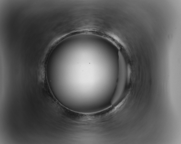 X0000090721358200707201339
