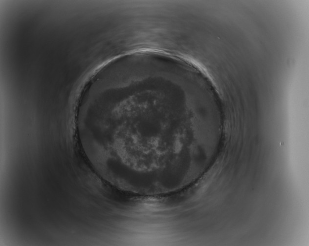 X0000090721359200707201339