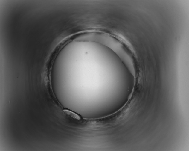 X0000090721360200707201339