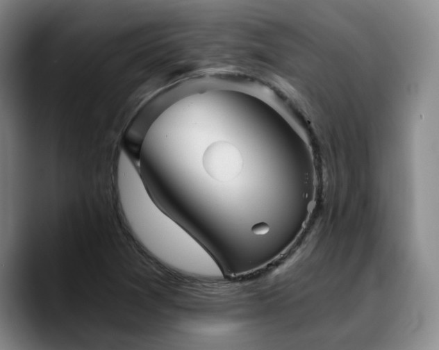 X0000090721361200707201339