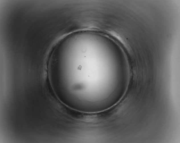 X0000090721363200707201339
