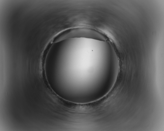 X0000090721364200707201339