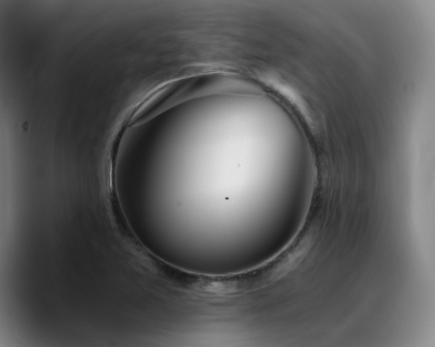 X0000090721365200707201339