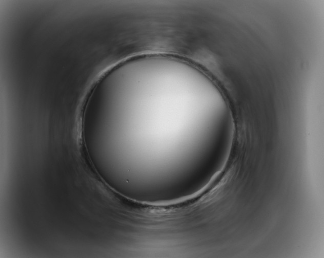 X0000090721366200707201339