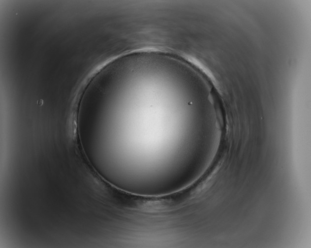 X0000090721367200707201339