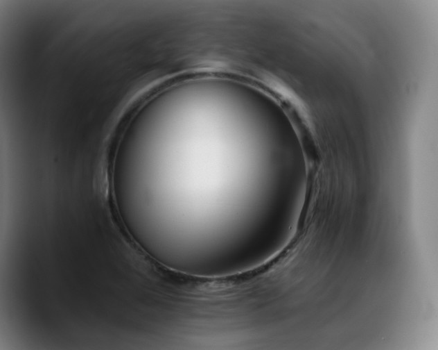 X0000090721368200707201339