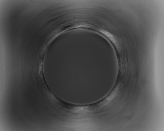 X0000090721369200707201339
