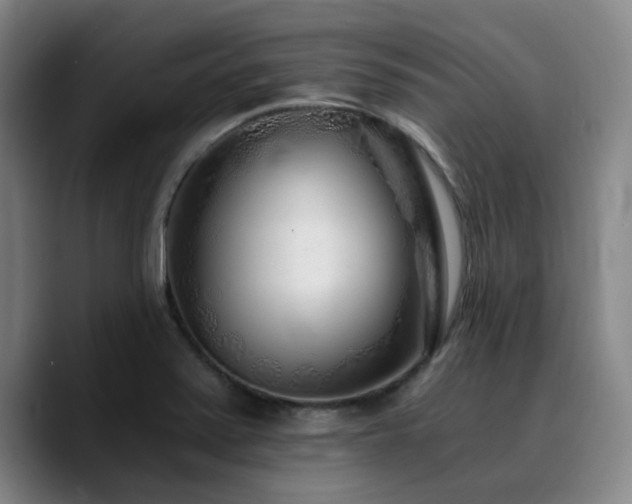 X0000090721371200707201339