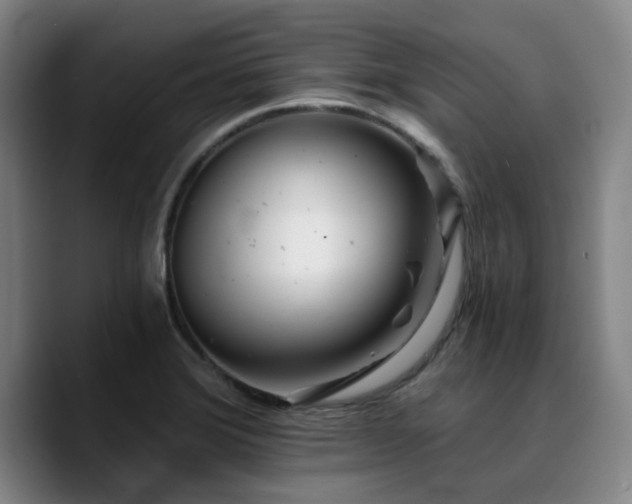 X0000090721372200707201339