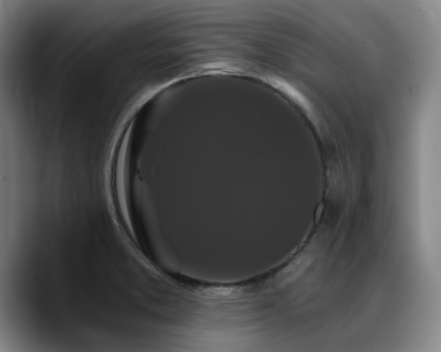 X0000090721373200707201339
