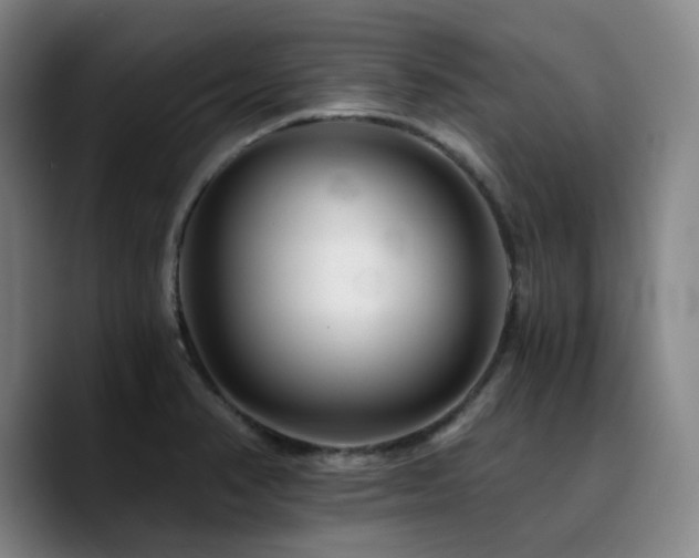 X0000090721374200707201339