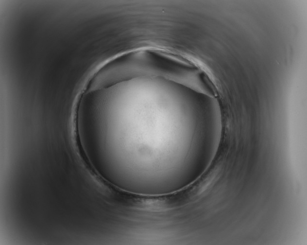 X0000090721375200707201339