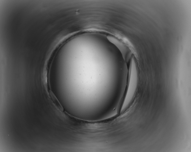 X0000090721376200707201339
