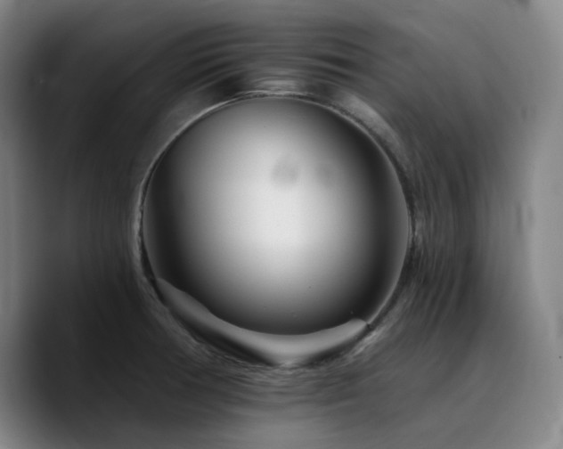 X0000090721378200707201339