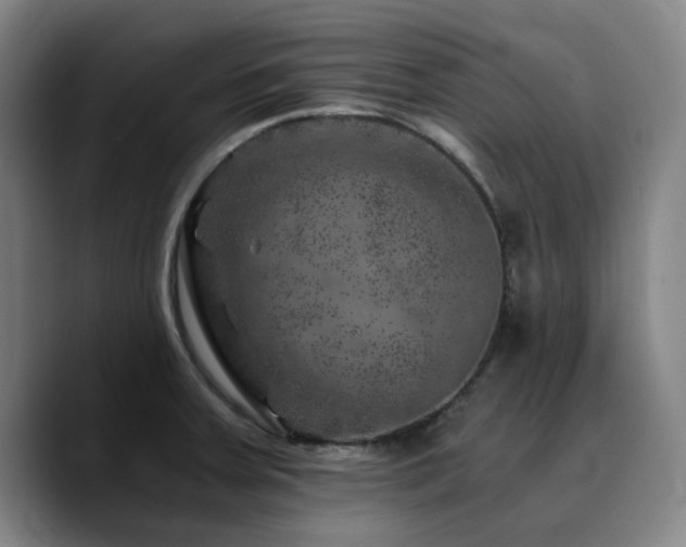 X0000090721379200707201339