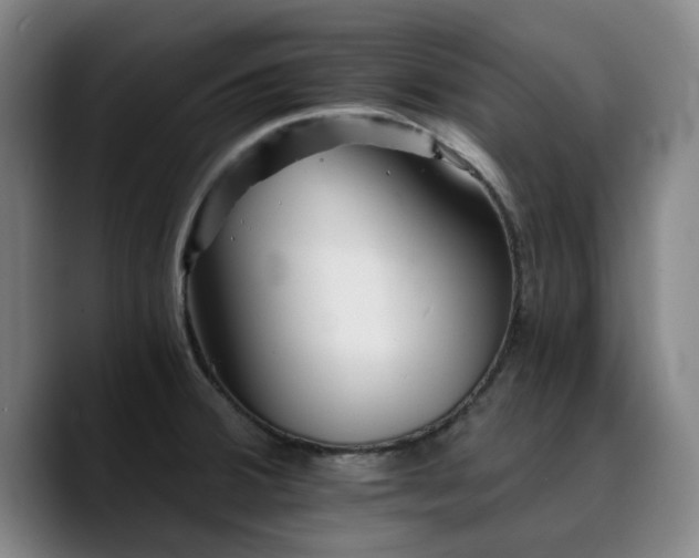 X0000090721380200707201339