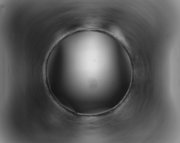 X0000090721382200707201339