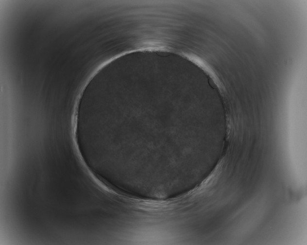 X0000090721383200707201339