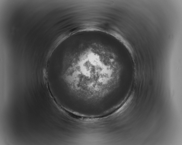 X0000090721385200707201339