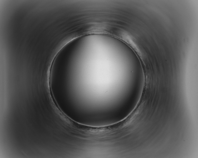 X0000090721386200707201339