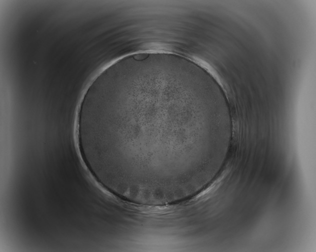 X0000090721387200707201339