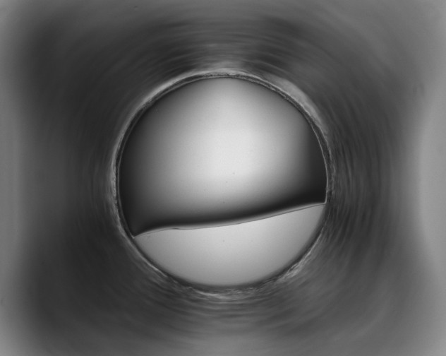 X0000090721388200707201339