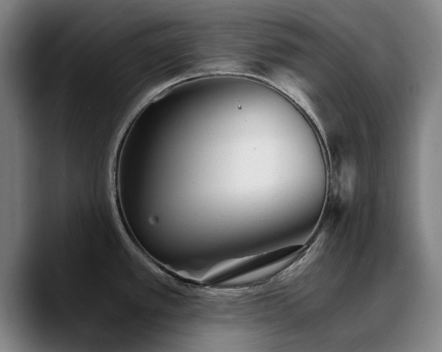 X0000090721389200707201339