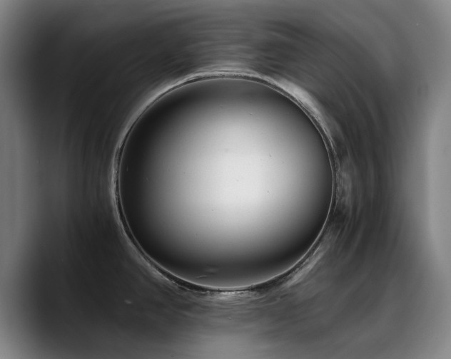 X0000090721390200707201339