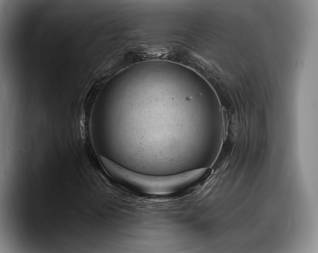 X0000090721394200707201338