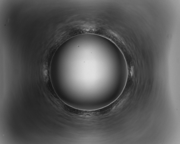 X0000090721396200707201338
