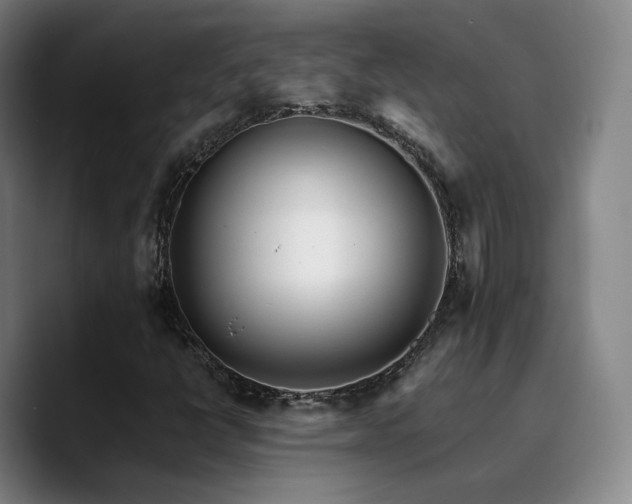 X0000090721398200707201338