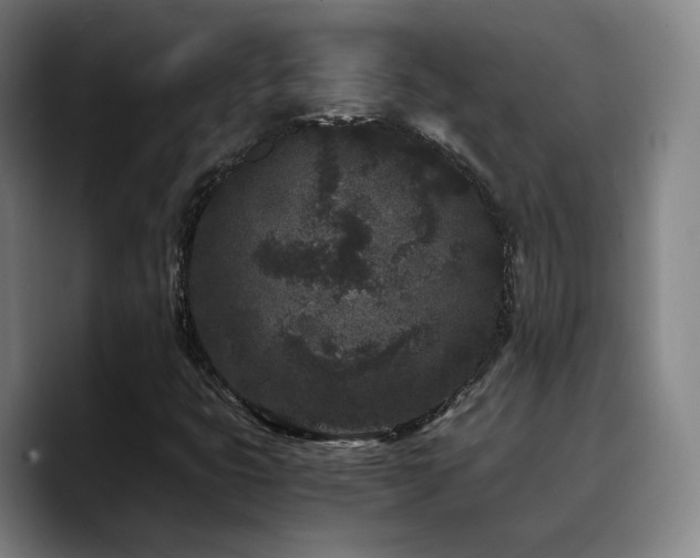 X0000090721399200707201338