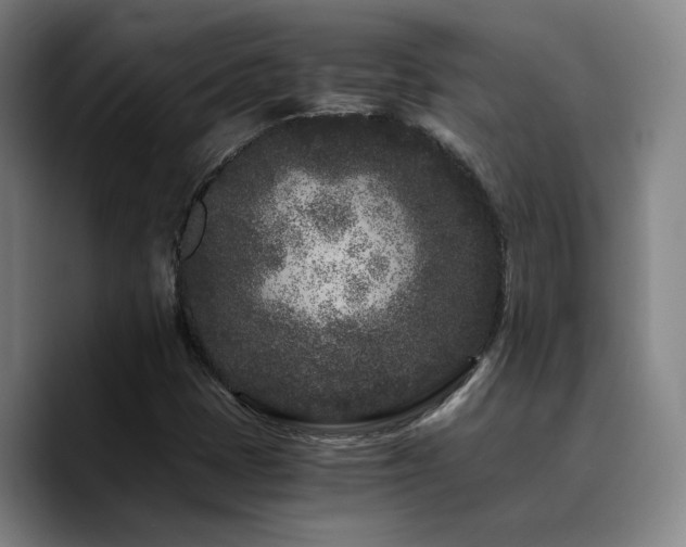 X0000090721401200707201338