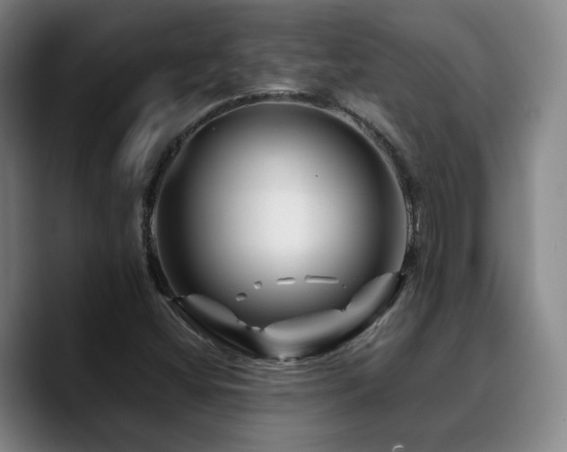 X0000090721404200707201338