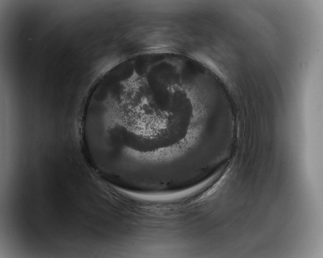 X0000090721405200707201338
