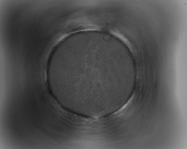 X0000090721407200707201338